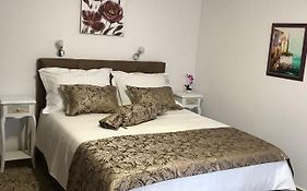 Apartment Center Roko